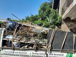Best Electronics and E-Waste Disposal  in Haslett, MI