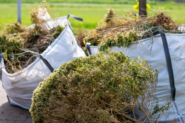 Best Shed Removal  in Haslett, MI